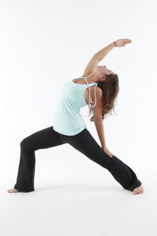 Yoga Journal Conference What is power yoga
